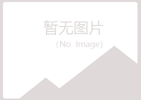 山南盼山会计有限公司